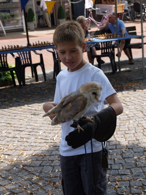 2010-08-14 001 021-_2048